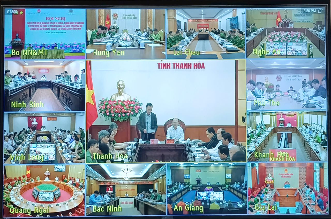 anh tin bai